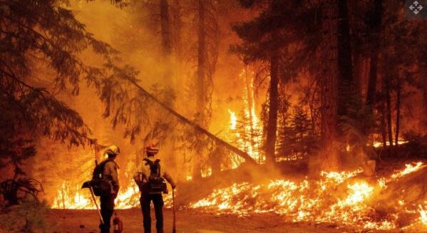 2021 年 7 月 23 日，CalFire 消防队员监测他们点燃的逆火，以阻止 Dixie 火灾在 Plumas 县的 Prattville 社区蔓延。.jpg