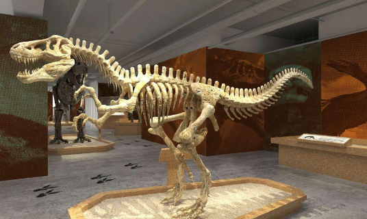 新疆哈密首次发现大型恐龙化石如何命名,恐龙化石是怎么形成的,恐龙