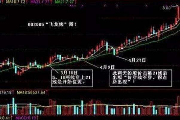 飛龍穿三殿1.jpg 飛龍穿三殿1.jpg