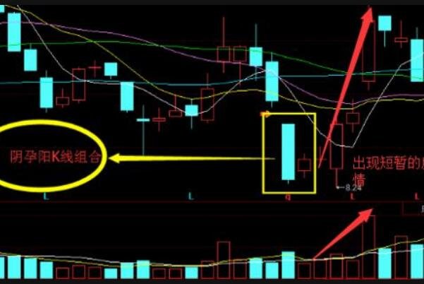 陰孕陽(yáng)2.jpg 陰孕陽(yáng)2.jpg