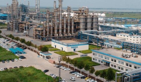 維遠股份廠址.jpg 維遠股份廠址.jpg