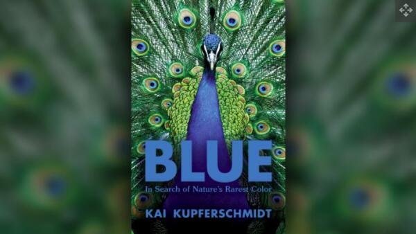 在“蓝色”一书中，作家凯·库普弗施密特探索了这种难以捉摸的颜色背后的科学.jpg