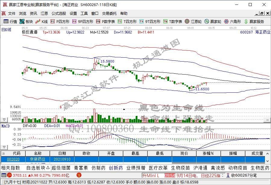 600267.jpg 600267.jpg