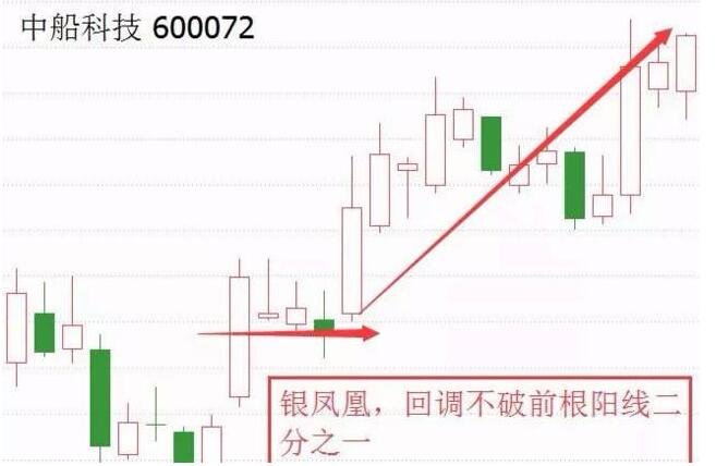 銀鳳凰.jpg 銀鳳凰.jpg