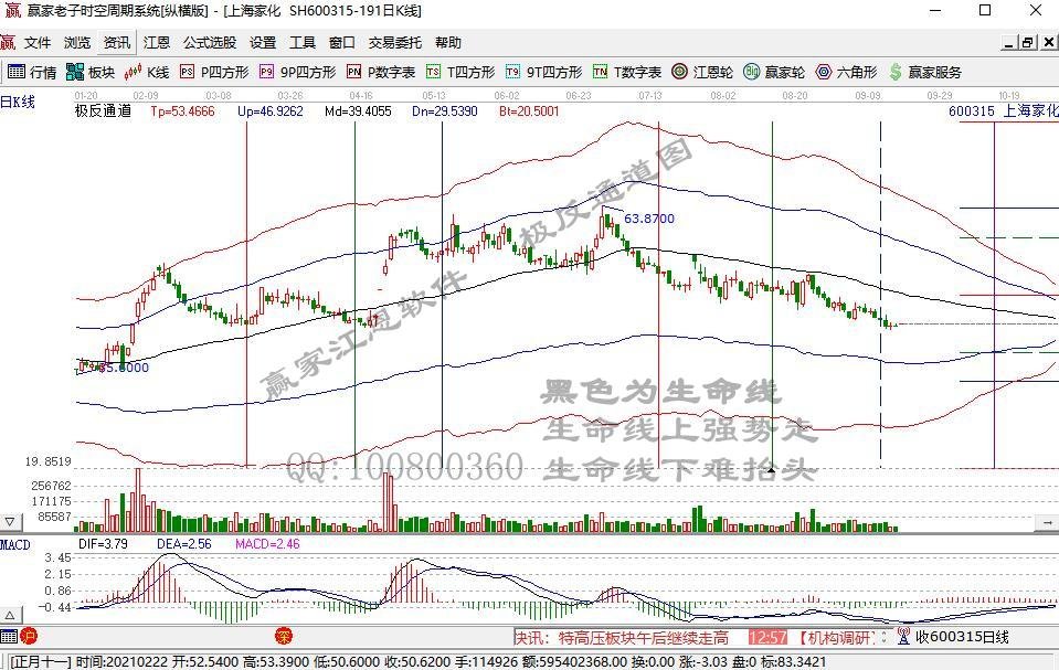 600315.jpg 600315.jpg