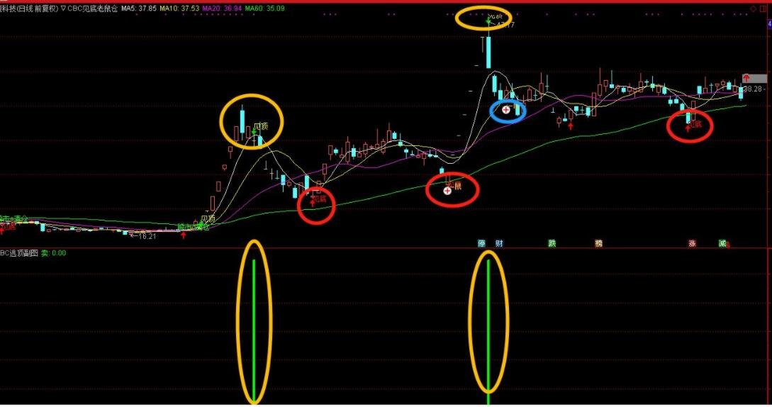 股票中的黑洞是什么意思 &nbsp;老鼠倉和黑洞有什么區(qū)別？？.jpg