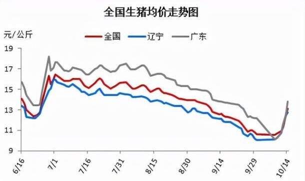 猪肉价格见底了吗何时见底,猪价走势将如何,养猪概念股有哪些- 今日