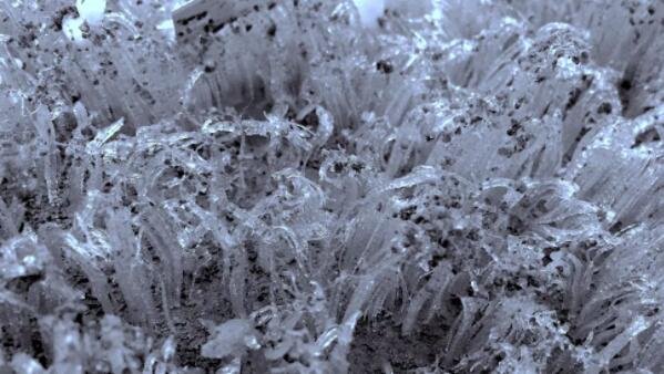 冰针由潮湿、多孔的土壤形成.jpg
