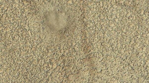 火星上的一个石圈.jpg