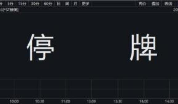 停盤(pán)的股票沒(méi)有任何走勢(shì) - 副本.jpg