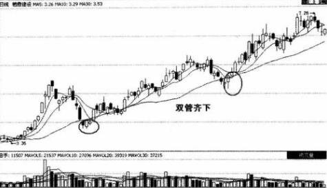一針錐底.jpg 一針錐底.jpg