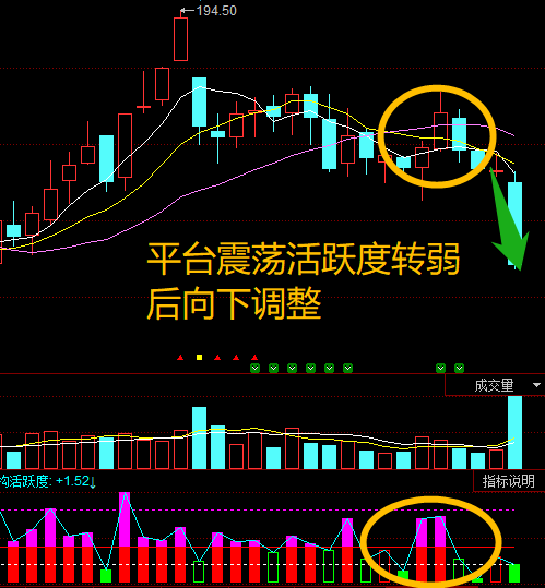 天茂集团主力机构活跃度动向解读