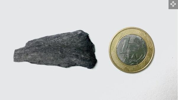 硬币旁边的一块木炭化石.jpg