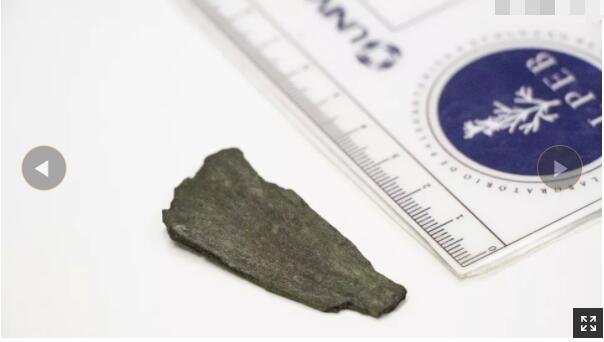 7500 万年前火灾产生的一个小的化石碎片。.jpg