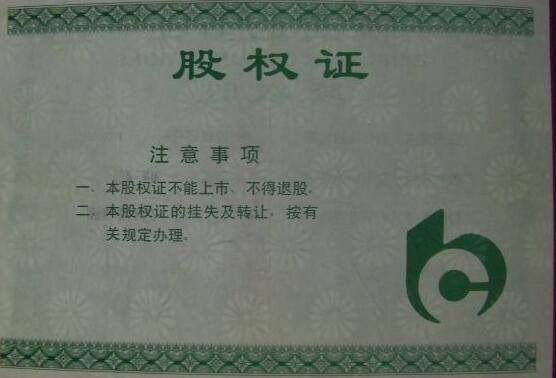 股權(quán)證.jpg