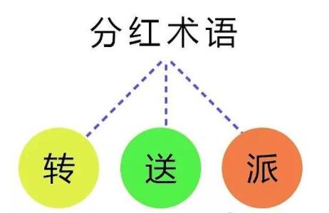 分紅術(shù)語(yǔ).jpg