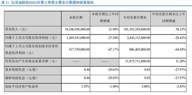 比亚迪将发行5000万股新h股是怎么回事比亚迪的营收情况如何