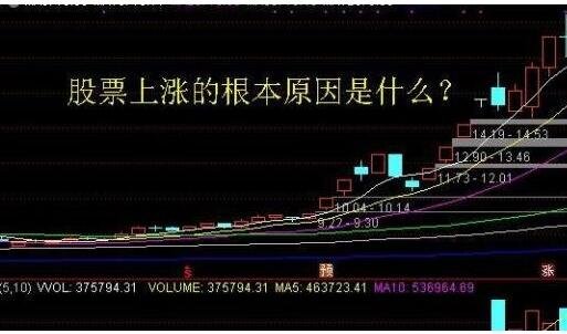 股票上漲的根本原因是什么.jpg
