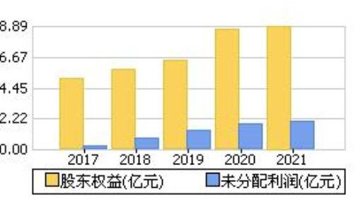 股票末分配利润和股东权益.jpg