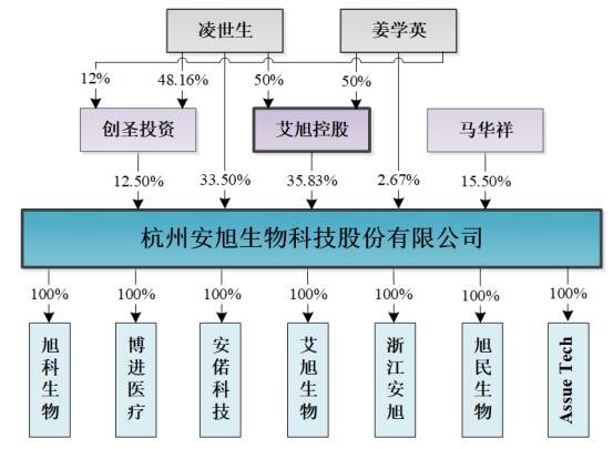 股权结构.jpg