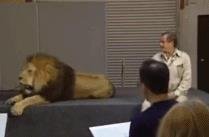 1992年《狮子王》动画制作