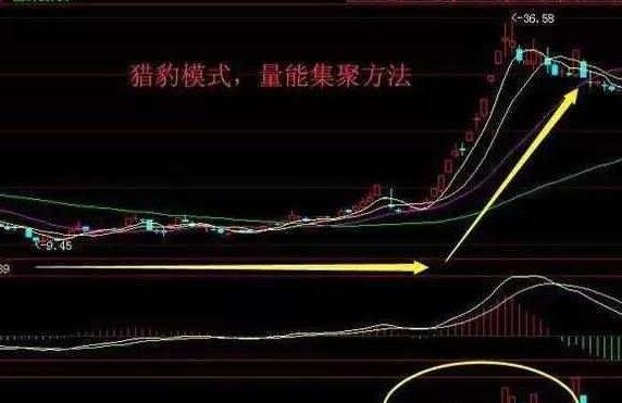 股票操盤手看哪些指標(biāo).jpg 股票操盤手看哪些指標(biāo).jpg