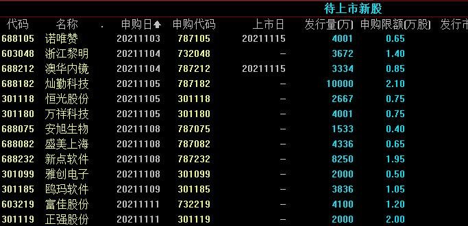 同时申购两只股票可以吗新股申购有什么注意事项