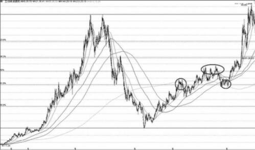 黃金分割2.jpg 黃金分割2.jpg