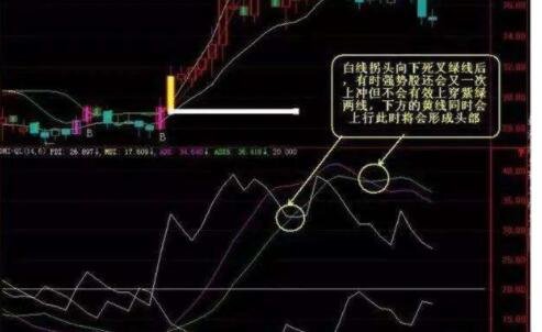 mdi指標(biāo)2.jpg mdi指標(biāo)2.jpg