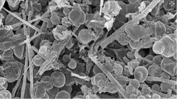 在显微镜下人工创造的碳硫生物形态.jpg