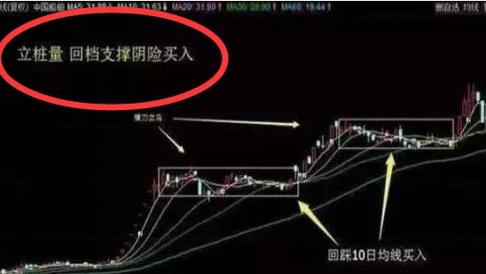 立樁量回檔支撐陰線買入.jpg