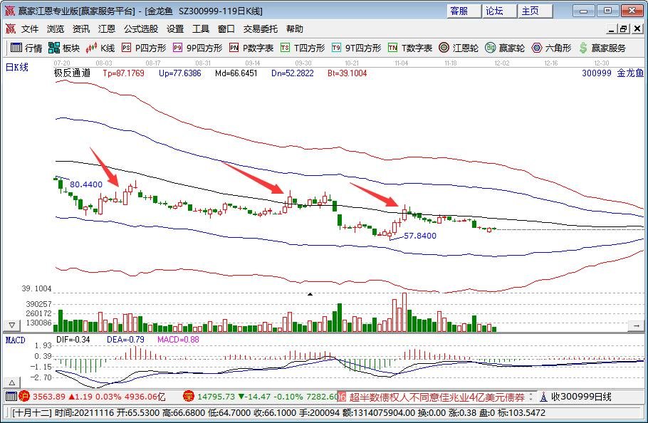 金龍魚.jpg 金龍魚.jpg