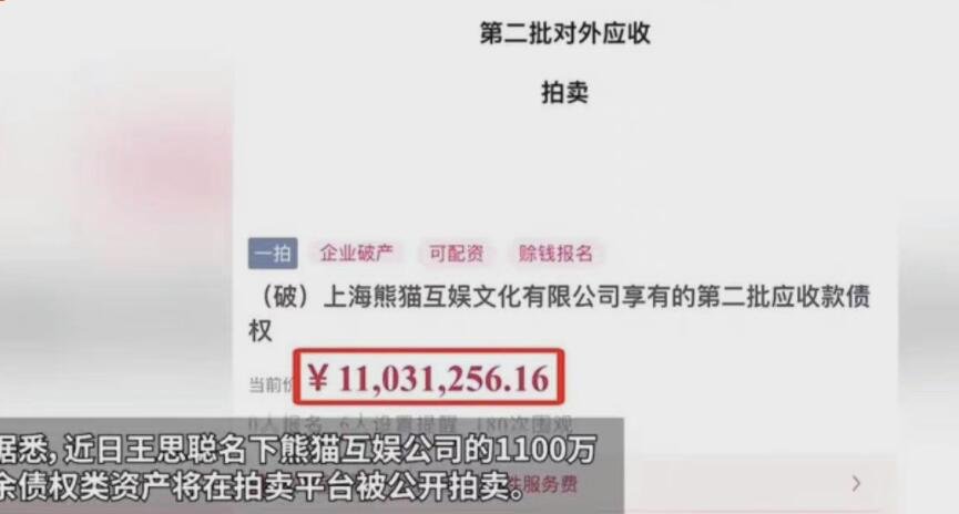 王思聪名下企业被拍卖1100万债权.jpg
