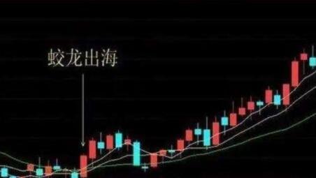 蛟龍出海.jpg 蛟龍出海.jpg