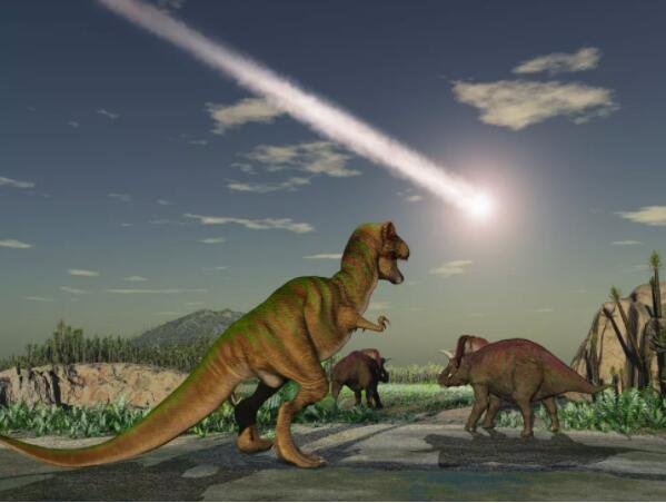 鳄鱼是如何在杀死恐龙的小行星撞击地球后幸存下来的？.jpg