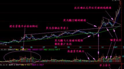 黑馬草上飛.jpg 黑馬草上飛.jpg