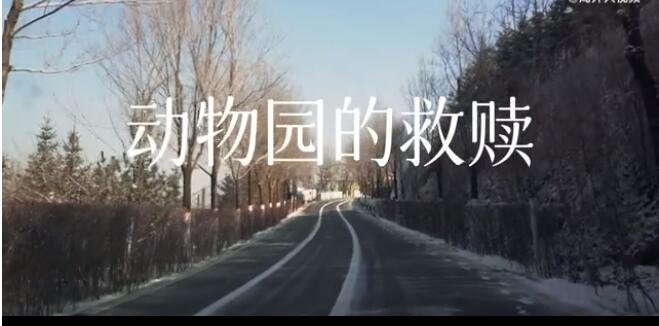 動(dòng)物園的救贖.jpg