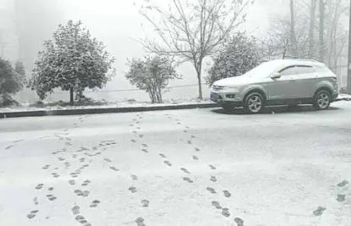 南方降雪.jpg 南方降雪.jpg