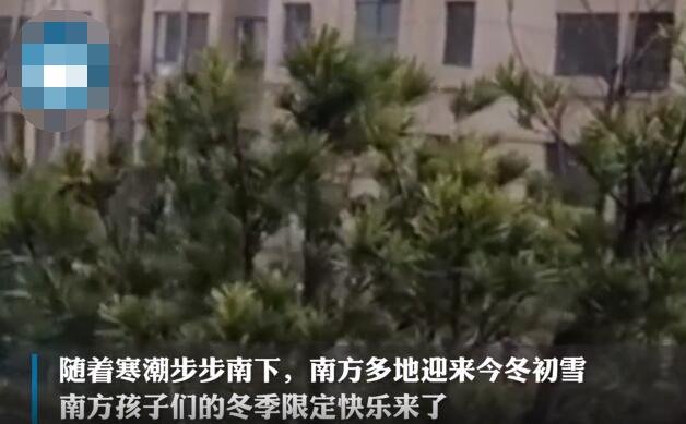 南方迎雪.jpg 南方迎雪.jpg