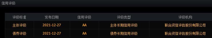 公司本次公开发行可转债的信用评级为  AAA 级.jpg
