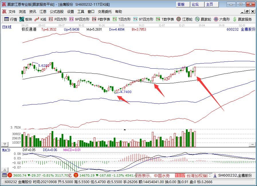 金鷹股份.jpg 金鷹股份.jpg