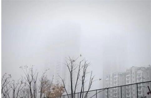 天氣極冷.jpg 天氣極冷.jpg