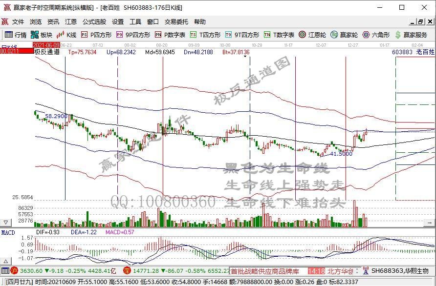 603883.jpg 603883.jpg