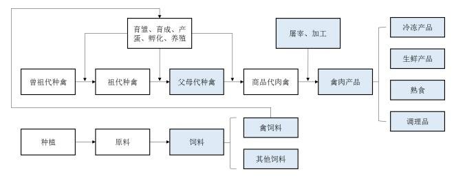 主营业务范围.jpg