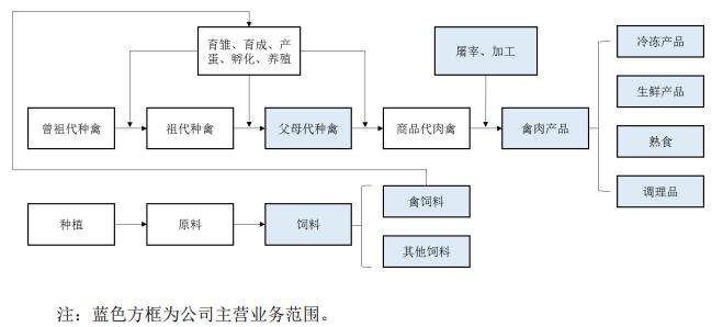 肉禽行业产业 链分布及公司主营业务范围示意图.jpg