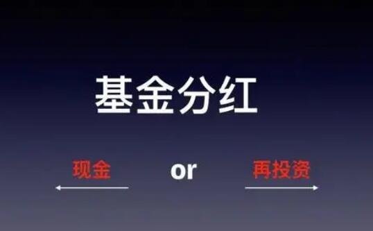 基金分紅.jpg