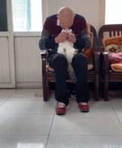 当爷爷养猫后.gif 当爷爷养猫后.gif