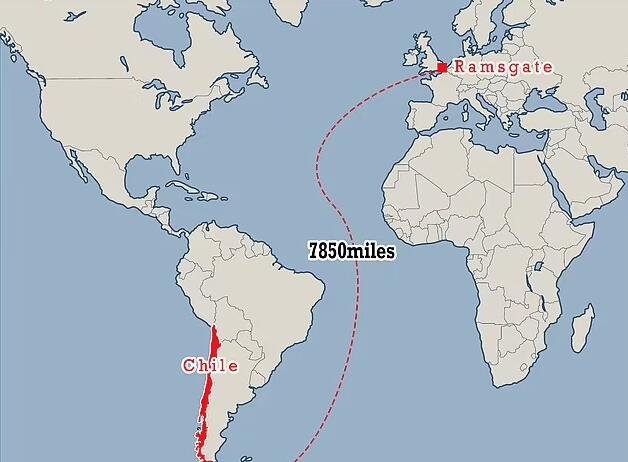 巨型翻车鱼疑似在迁徙途中迷路 从智利游1.2万千米到英国