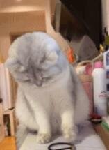 小心翼翼搞破坏