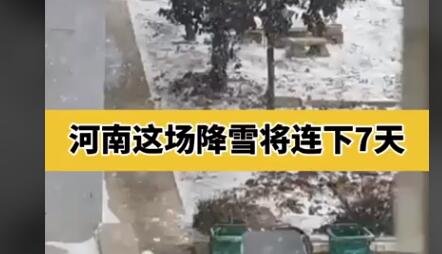 河南降雪.jpg 河南降雪.jpg